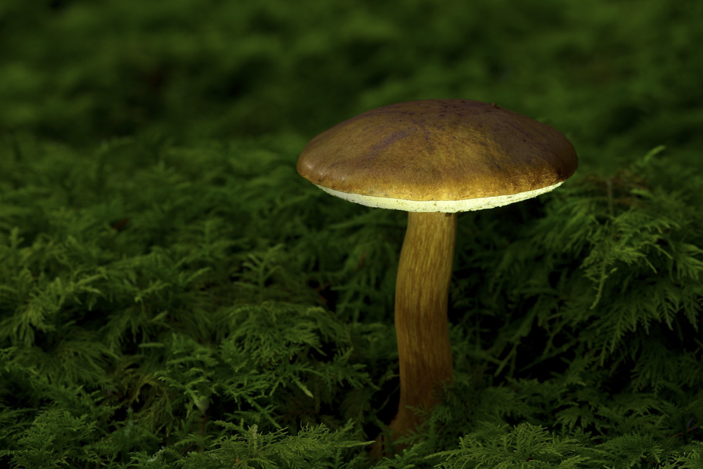 10. Platz Franz Müller